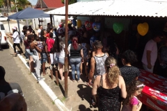 11 dia (31)
