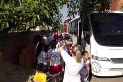 4 dia (4)