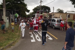 5 dia (11)