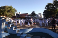 DSCF4726