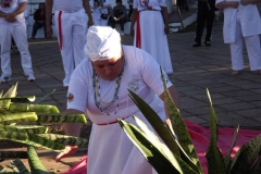 DSCF4787